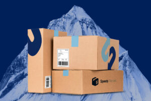 Parcel Delivery During Peak Seasons- A Guide for Businesses